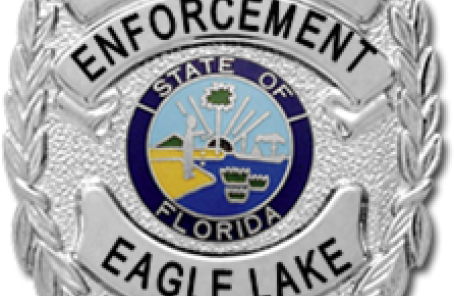 Silver Badge that reads Code Enforcement Eagle Lake FL in black letters, and has a state of florida seal in the center.